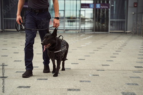 Security officer with police dog walking down airport terminal