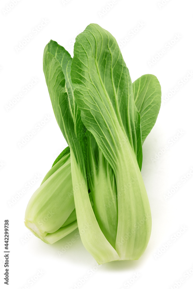 Pak choi Pak choi