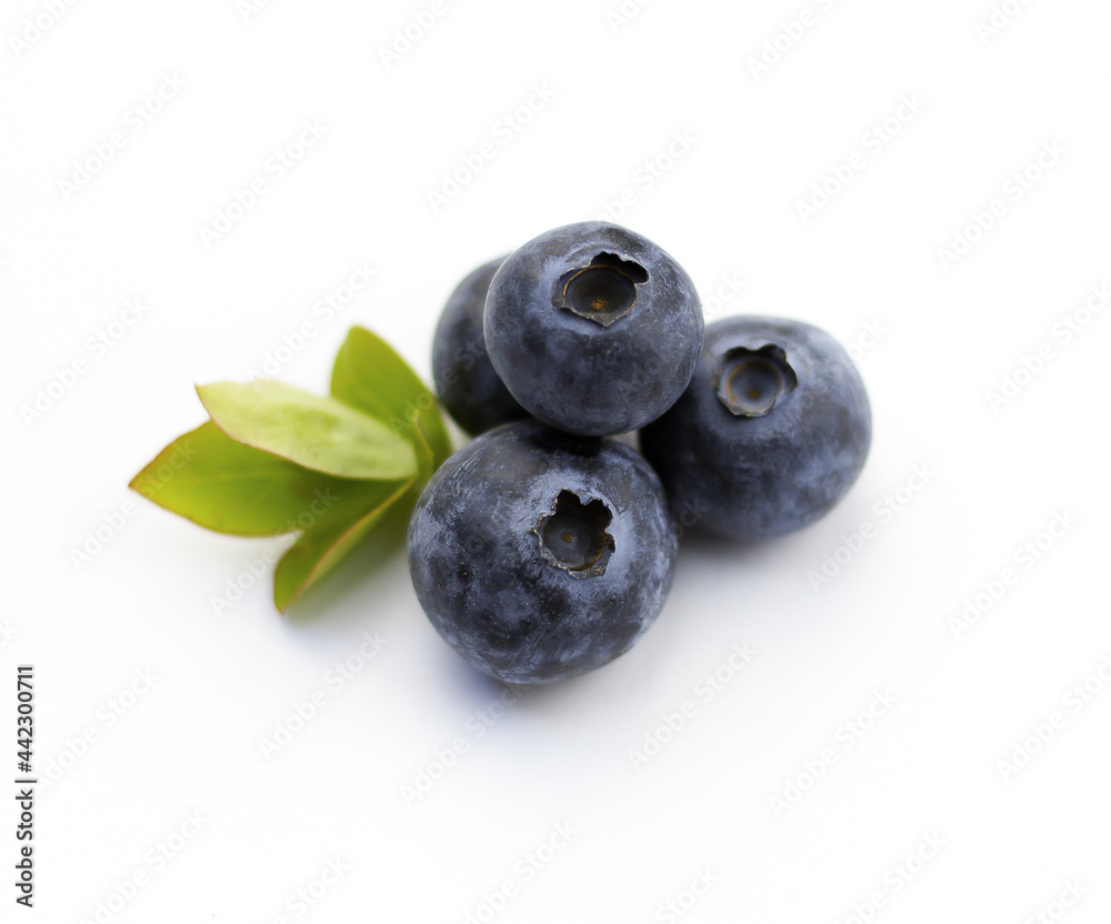 Blueberries on a white background. Berries and leaves isolated on white background. Four berries with green leaves. Blueberries on a white background. Berries and leaves isolated on white background. Four berries with green leaves.