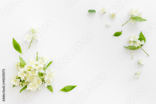 Papier peint Frame of white jasmine flowers. Top view flat lay