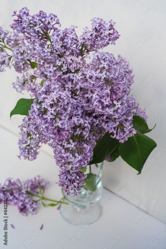Bunch of fresh lilac flowers in glass vase close up isolated on white background Bunch of fresh lilac flowers in glass vase close up isolated on white background