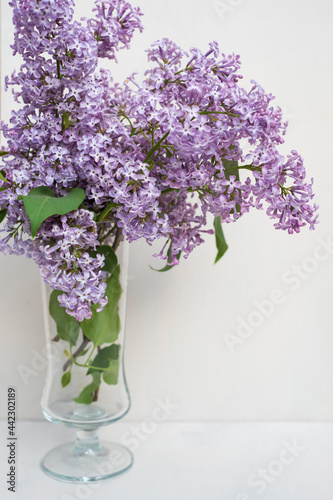 Bunch of fresh lilac flowers in glass vase close up isolated on white background