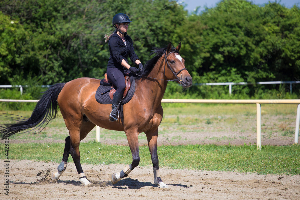 The girl in black rides a sorrel horse in riding school The girl in black rides a sorrel horse in riding school