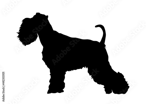 Schnauzer dog silhouette, Vector illustration silhouette of a dog on a white background.	