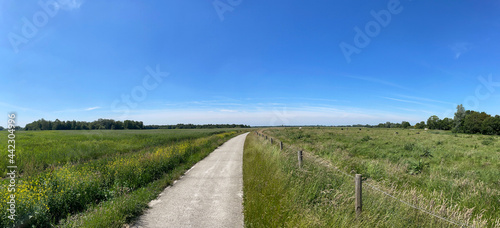 Panorama from a path through the Weerribben-Wieden National Park