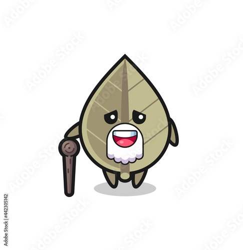 cute dried leaf grandpa is holding a stick