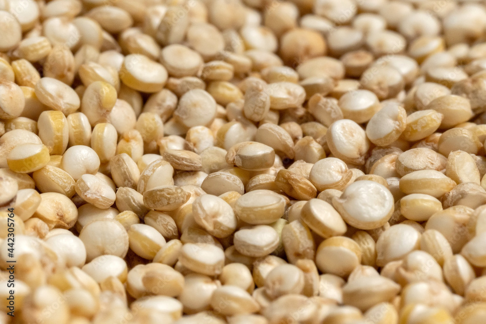 Uncooked quinoa macro image close-up selective focus. Uncooked quinoa macro image close-up selective focus.