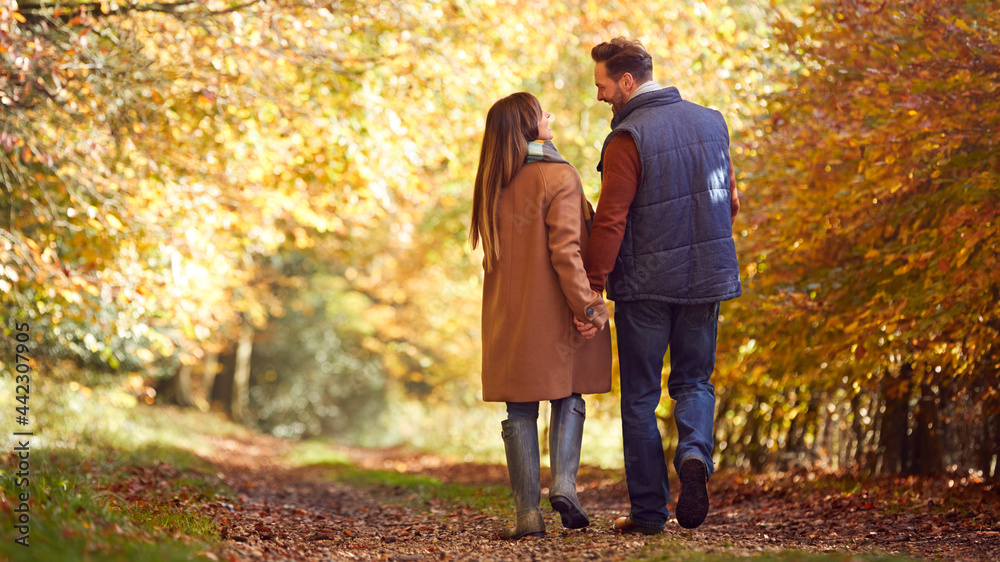 Rear View Of Loving Mature Couple Holding Hands Walking Along Track In Autumn Countryside Rear View Of Loving Mature Couple Holding Hands Walking Along Track In Autumn Countryside