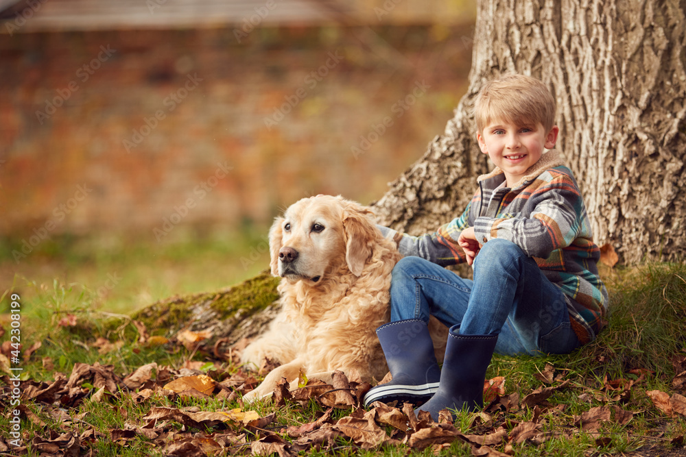 Portrait Of Boy With Pet Golden Retriever Dog Sitting By Trunk Of Tree In Autumn Garden