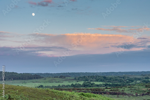 New Forest under moonlight and pink clouds 
