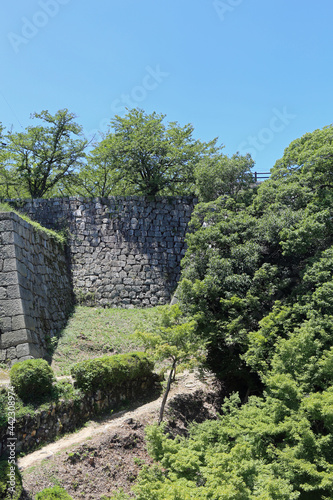 Fototapeta Naklejka Na Ścianę i Meble -  初夏の丸亀城