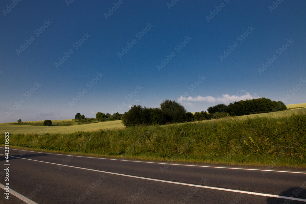 summer field with blue sky summer field with blue sky