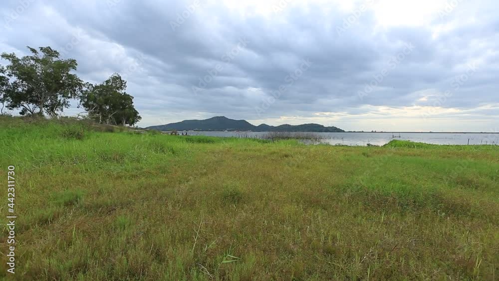 Natural background of green fields along a large reservoir and surrounded by many trees, the beauty of the ecosystem Natural background of green fields along a large reservoir and surrounded by many trees, the beauty of the ecosystem