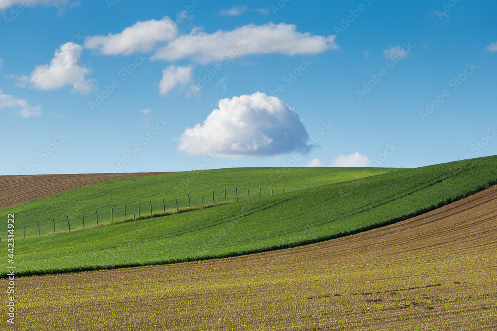 Obraz premium meadows with blue sky and clouds background