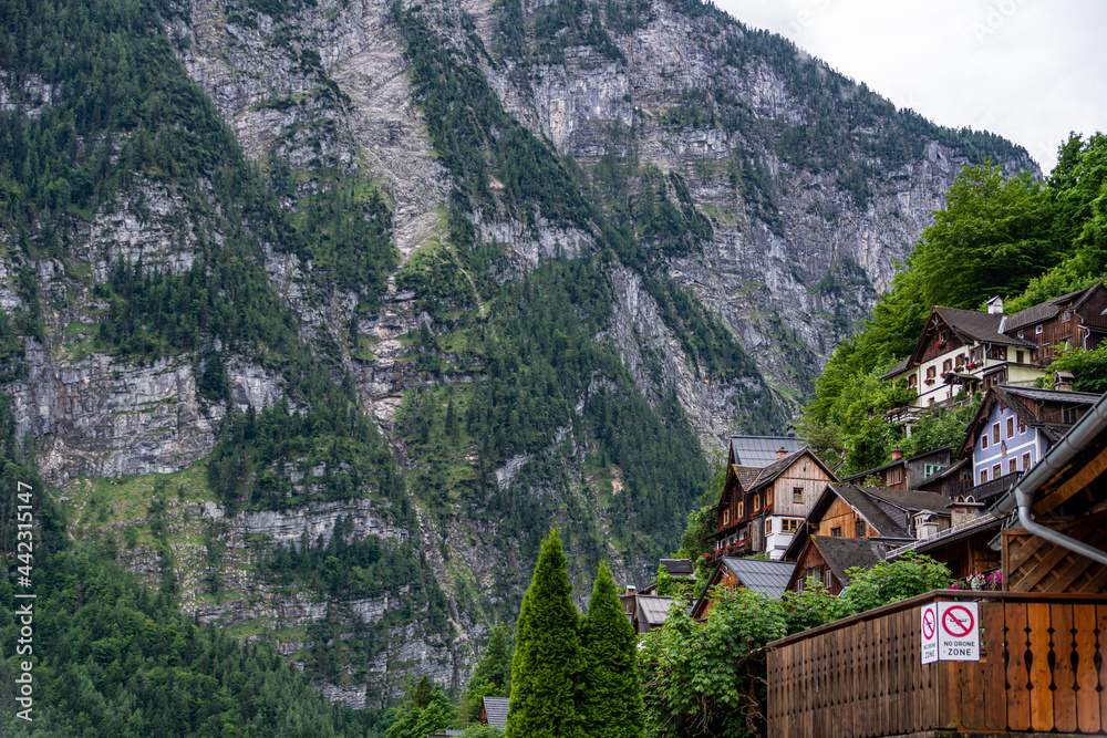 Traditional houses in Hallstatt on a hill with a mountainous background