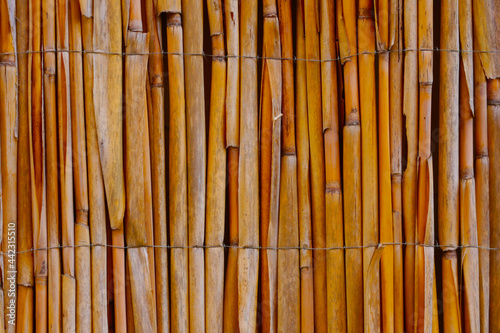Fototapeta Naklejka Na Ścianę i Meble -  Close-up on a bamboo fence in the park. Background, texture.