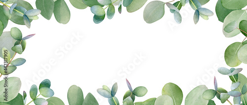 Frame with watercolor eucalyptus branches with copy space