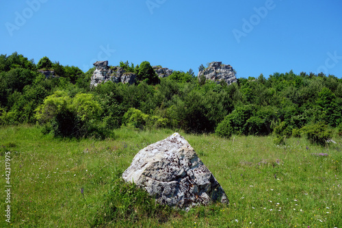 Rock fragment from travertine mountain near Spišské Podhradie Slovakia photo
