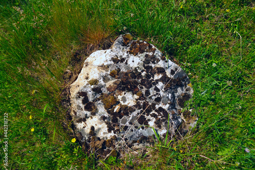 Rock fragment from travertine mountain near Spišské Podhradie Slovakia photo