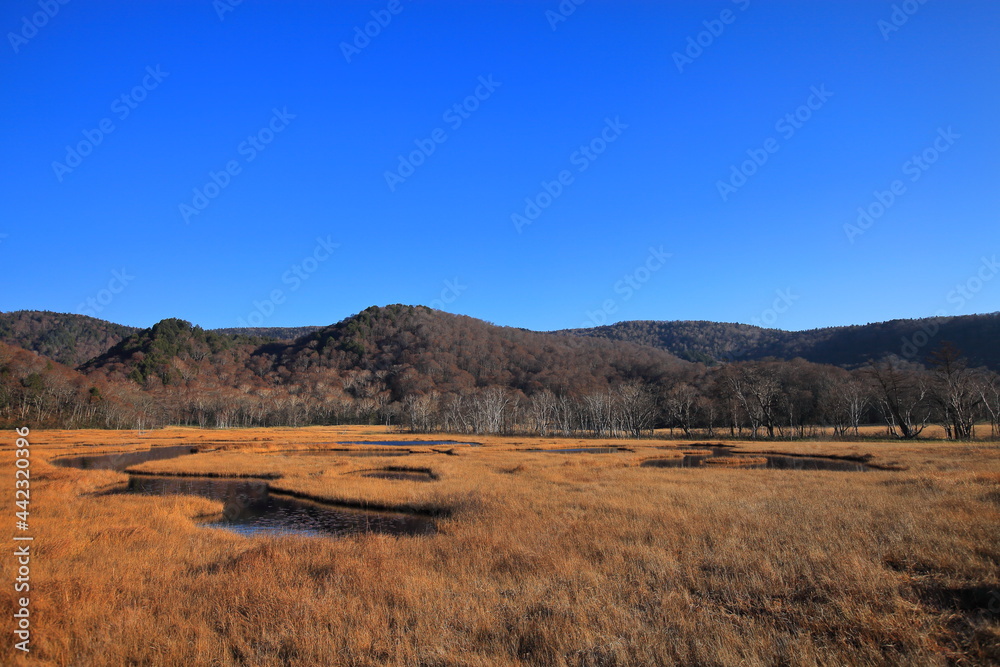 Mt.Shibutsu, Oze Marsh, Mt.Hiuchi 秋の至仏山、尾瀬ヶ原、燧ケ岳トレッキング Mt.Shibutsu, Oze Marsh, Mt.Hiuchi 秋の至仏山、尾瀬ヶ原、燧ケ岳トレッキング