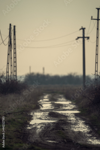 muddy road and power lines