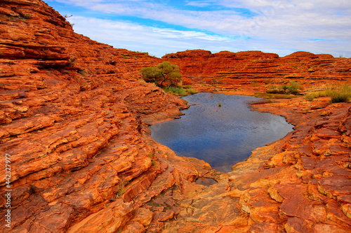 Kings Canyon in central Australia photo