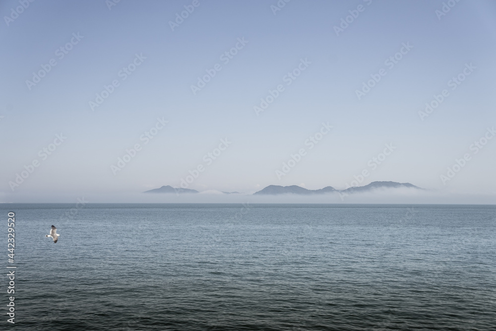 푸른 바다위에 외로이 떠있는 섬위를 지나는 갈매기
