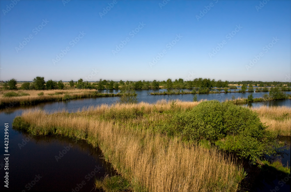 Rottige Meente