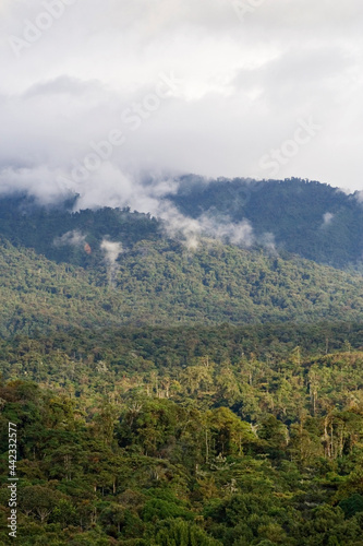 San Isidro West slope Andes Ecuador