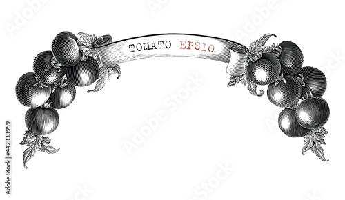 Tomato branding design for product label hand draw vintage engraving style black and white clip art isolated on white background2