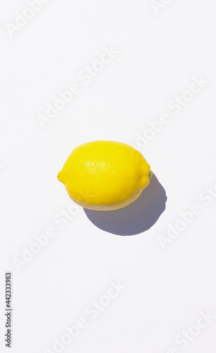 The lemon which bathed in sunlight of the summer. 夏の日差しを浴びたレモン