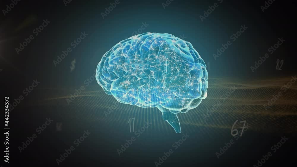 Human brain spinning against multiple numbers and digital waves on blue background Human brain spinning against multiple numbers and digital waves on blue background