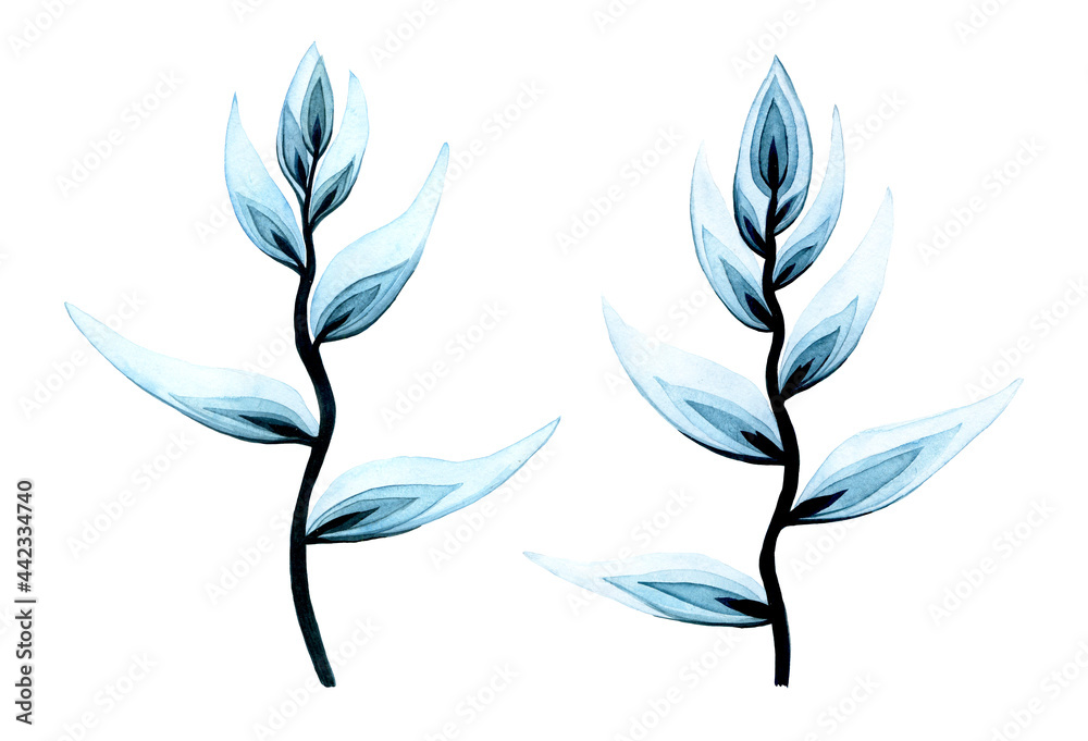 set with watercolor transparent heliconia flowers. isolated on white background transparent tropical flowers of blue color.