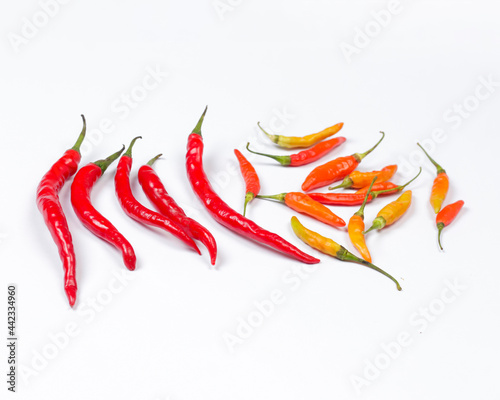 Red chili isolated on white background. This chili has a taste that is not so spicy. Usually used for a mixture of cooking spices. Consuming chili can prevent cancer and prolong life. Chili mockup.