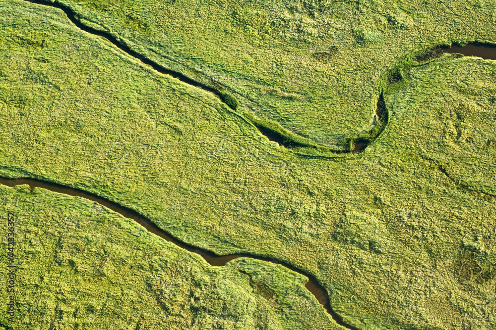 Obraz premium Schiermonnikoog