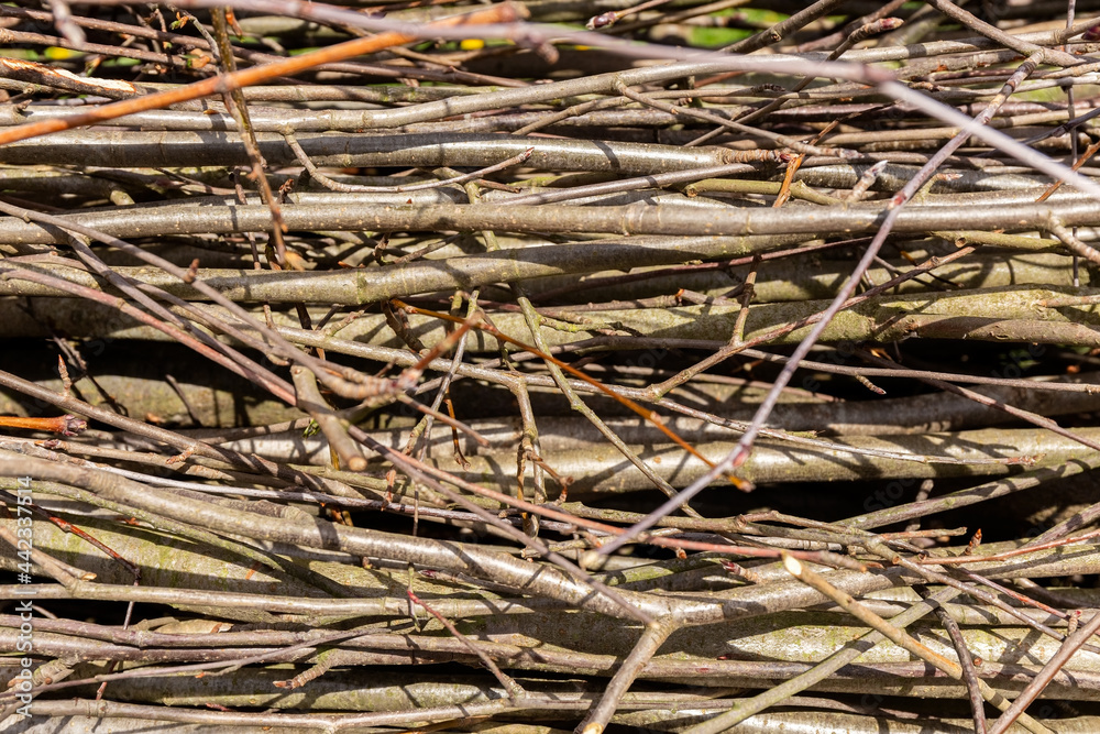 Branches and twigs. Texture. Natural background. A fence made of dry tree branches. Country style. . High quality photo Branches and twigs. Texture. Natural background. A fence made of dry tree branches. Country style. . High quality photo