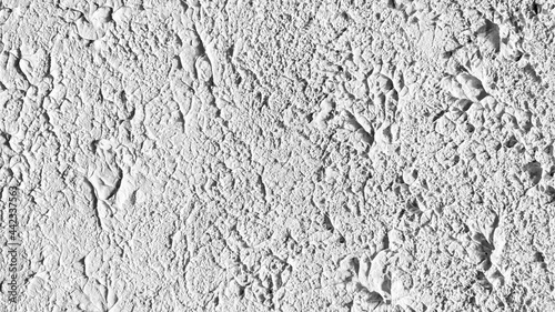 Decorative plaster. Background. Black and white background. Decorative plaster in black and white.