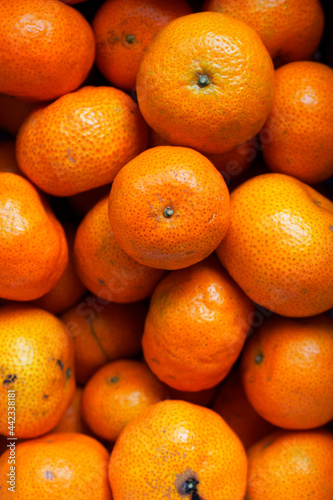 Citrus reticulata Blanco cv​. Shiyue Ju, Sugar Tangerine