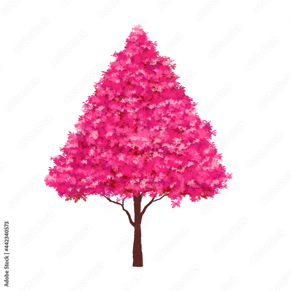 Obraz premium Tree isolated on white background. 