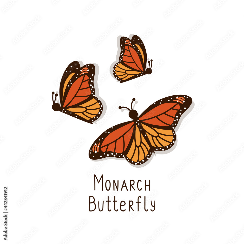 Beautiful orange monarch butterflies side and top view. Set of hand