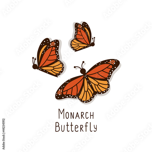 Beautiful orange monarch butterflies side and top view. Set of hand drawn in cartoon style vector colorful flying insects on isolated white background