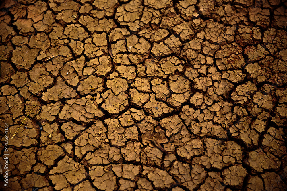 dry soil texture closeup for background dry soil texture closeup for background