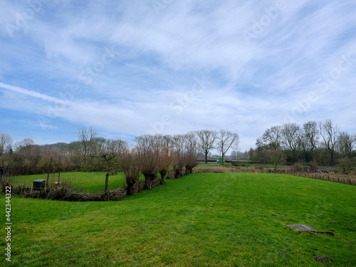 Villa Buria, een vroegmiddeleeuwse nederzetting in Buren, Gelderland  photo