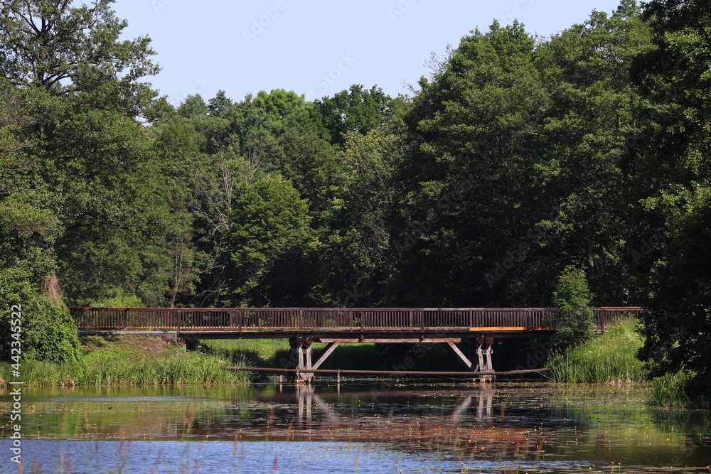 Fototapeta premium wooden bridge over the river, Białowieża Poland