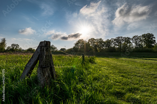 Hammesparziergang am Abend photo