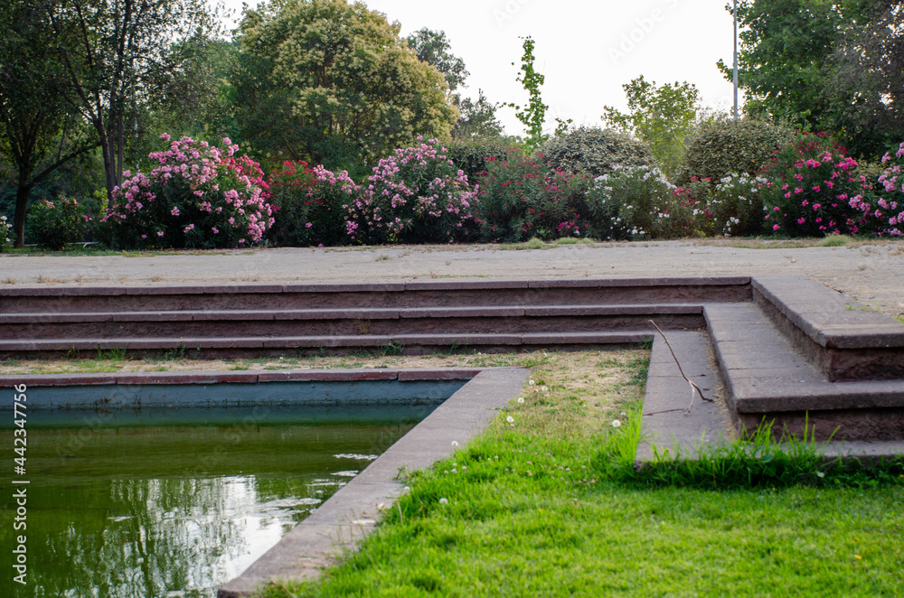 Fototapeta premium Water mirror in park. Santiago, Chile