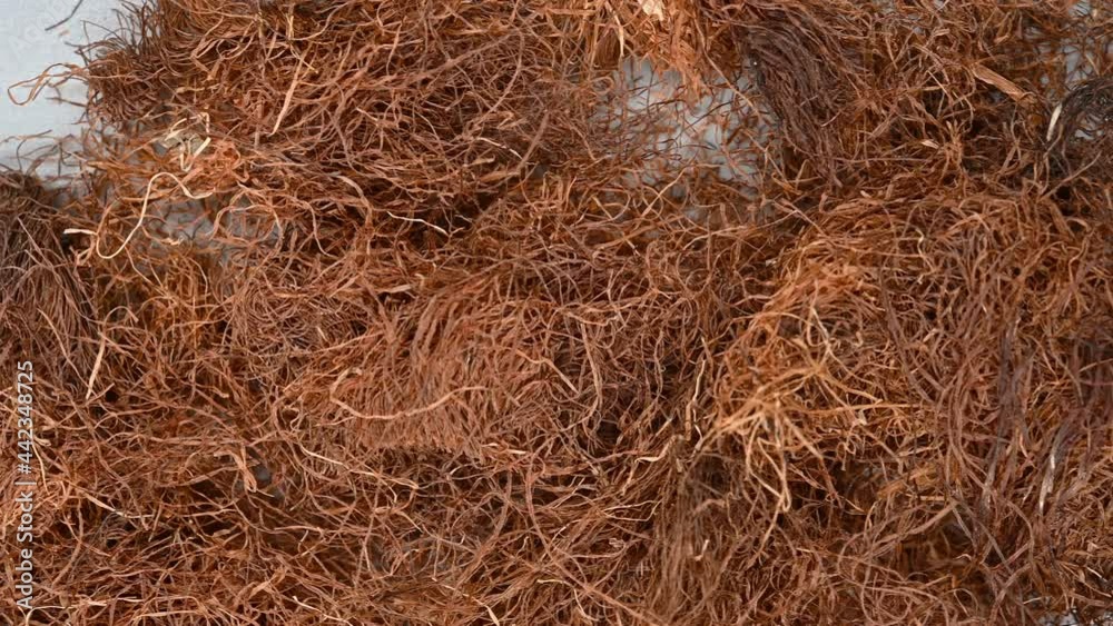 top pan herb YuMiXu or Stigma Maydis or Corn Silk top pan herb YuMiXu or Stigma Maydis or Corn Silk
