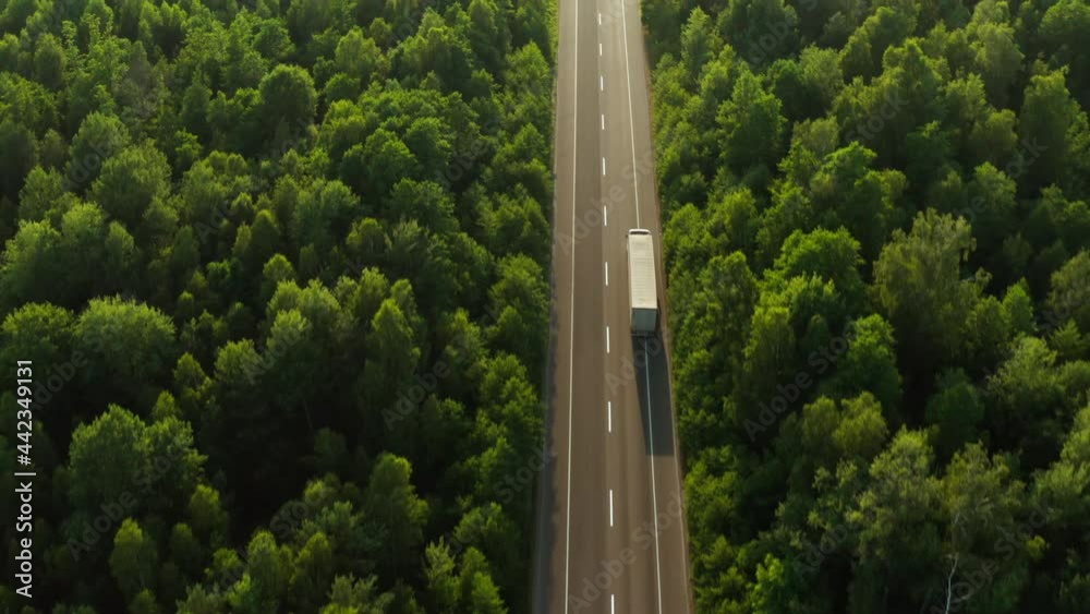 Road transport truck industry forest nature highway car delivery