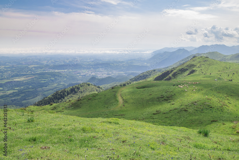 View of Pyrenean meadows looking north from Pic d'Escurets between the Aspe and Osseau valleys in the French Pyrenees, 