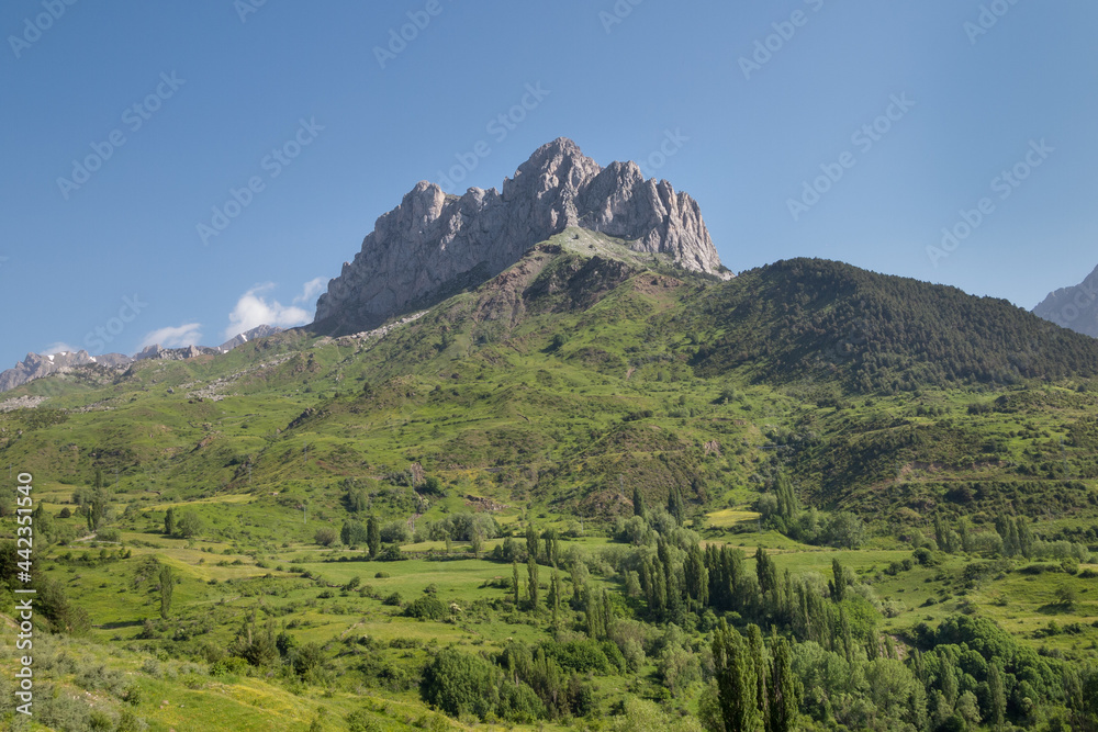 Fototapeta premium View of the rock formation Peña Foratata protruding from the surrounding meadows and forests, in the Tena Valley in the Spanish Pyrenees, Huesca, Spain